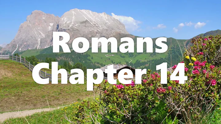 The Book of Romans Chapter 14 - New King James Version (NKJV) - Theatrical Audio Bible