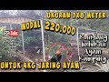 Inovasi Kandang Umbaran Ayam Kampung👉Solusi Hemat Modal Dengan Jaring Ayam Kiloan