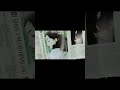 Sheila Majid  #cassette #new #music #reels #shorts #subscribe #shortvideo #vintage