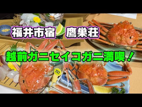 【福井】タグ付き越前ガニ！セイコガニを満喫！年内限定１泊２食29,800円