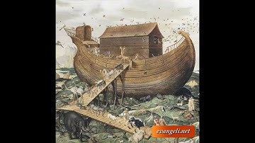 First Sunday of Advent (A)