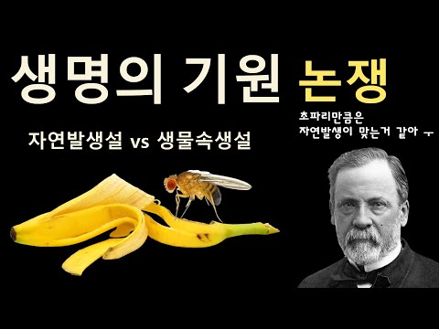 생명의 기원 논쟁(자연발생설vs생물속생설)