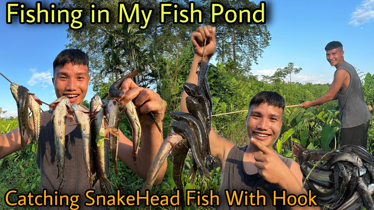 ऐसा Fishing आज तक नहीं देखा होगा😳 || Catching SnakeHead Fish With Hook in My Pond || Village Life ❤️