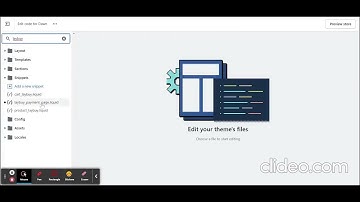 put it on lay-buy video installing BuyNow code
