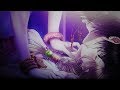 越えざるは紅い花 ～恋は月に導かれる～Torn Between Two Brothers