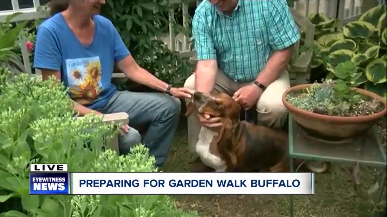 Garden Walk Buffalo Working To Beautify Communities Youtube