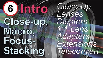 Extensions and Adapters: Close-up, Macro Photography, and Focus Stacking, Part 6