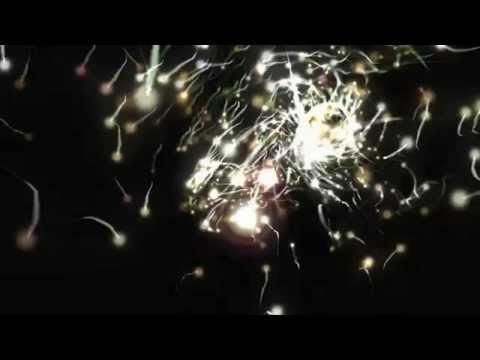 Video background - Button + Boom Boom Pow + On the floor