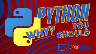 Celebrity (Eps.01) Pendahuluan ~ Belajar Python [Beginner] Wealth