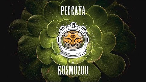 Session 14 - Rain Forest [Piccaya] (4K UHD)