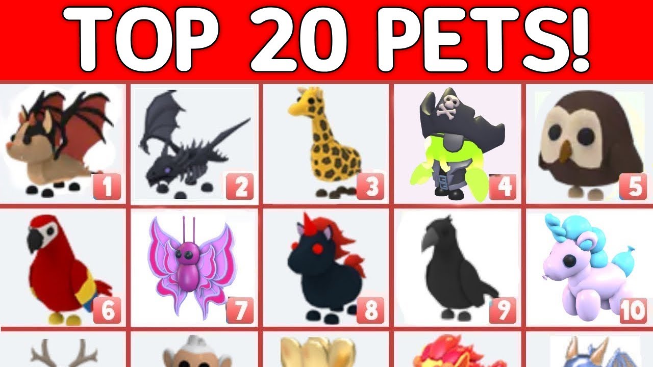 TOP 20 RAREST PETS VALUES IN ADOPT ME 2026 YouTube Maxresdefault 