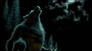 Doga - Vlk Samotář