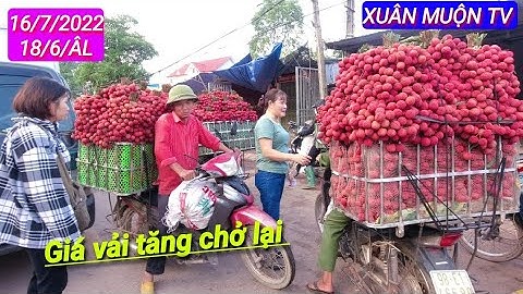 giá vải hôm nay Tăng chở lại tại tân sơn lục ngạn BG