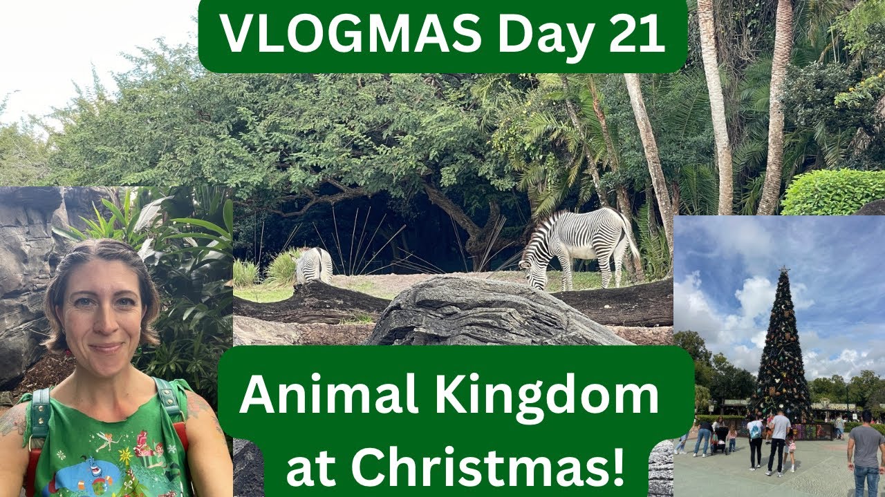 Влогмас День 21 | Рождество в Царстве животных Диснея