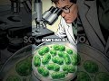 Her Cells Built a Billion Dollar Industry. Her Family Got Nothing.