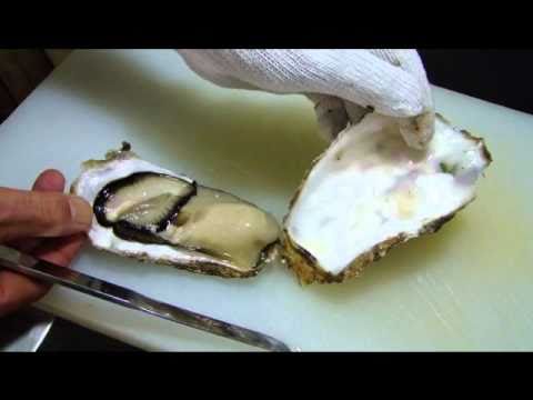 日本一やさしい殻つきカキのむき方 カネダイ北の旬鮮便 Youtube