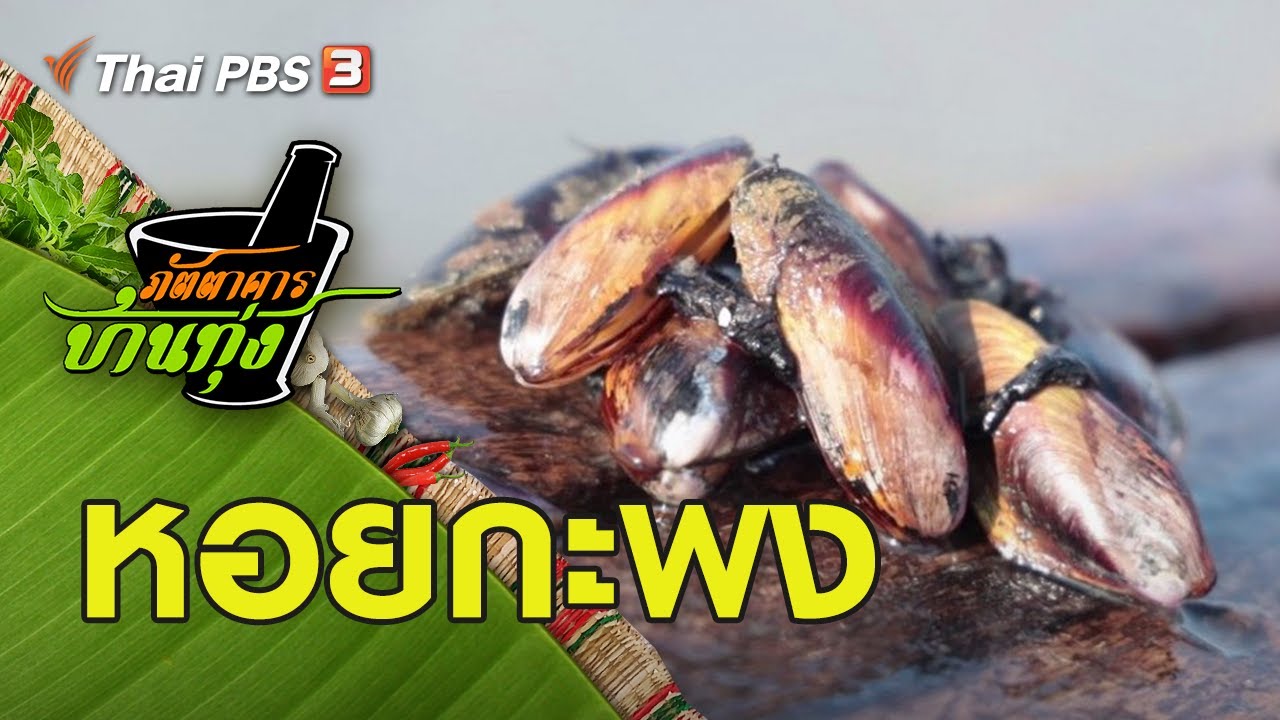 หอยกะพง : ภัตตาคารบ้านทุ่ง (15 มิ.ย.62)