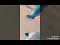 عندما أمسك يدك   يدق قلبي نجومي