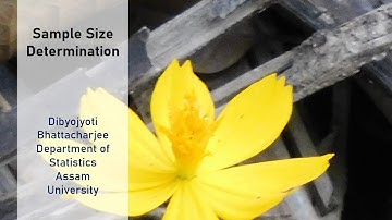 Live Class 9 Sample Size Determination