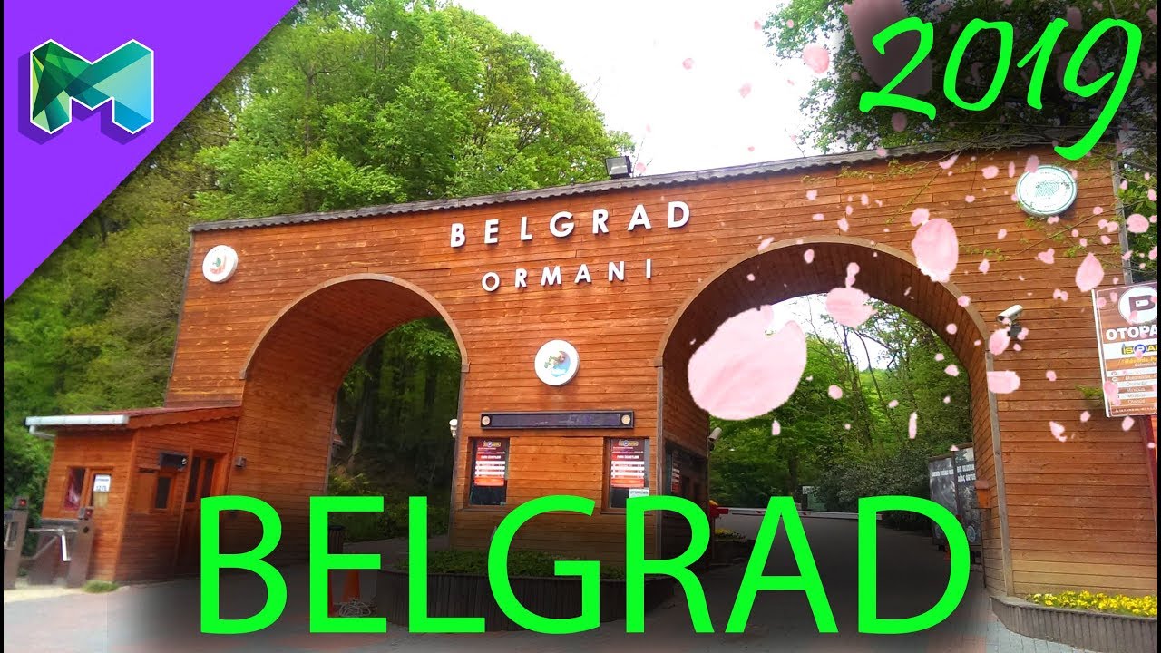 رحلة الى غابات بلغراد Trip To Belgrade Forest Youtube