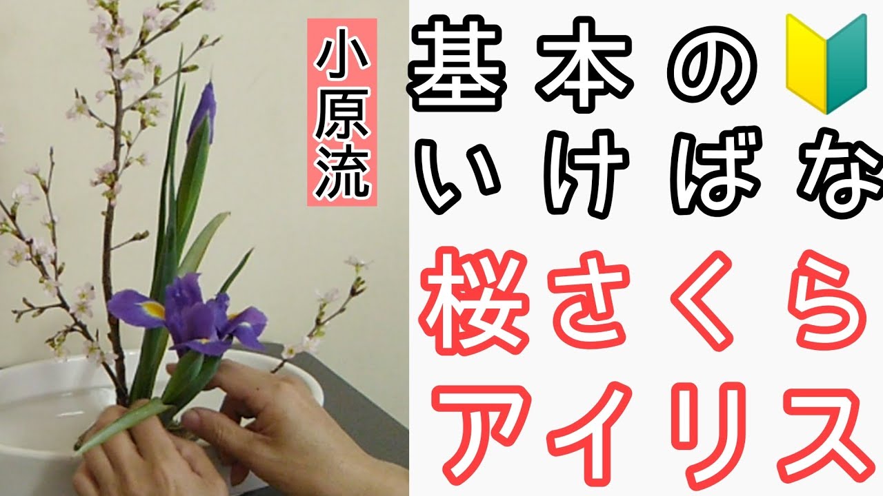華道 生花関係書籍 残り7種類 生花　小原流　本 華道 生花関係書籍 残り7種類 生花 小原流 本