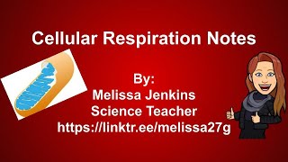 Cellular Respiration Notes