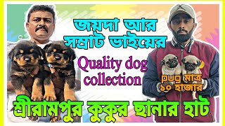 Show quality dog puppy low price | কম দামে সুন্দর কুকুরছানা | serampore pet market dog price | #dog by pom Tv Love dog & (vlog) 310 views 4 months ago 5 minutes, 31 seconds
