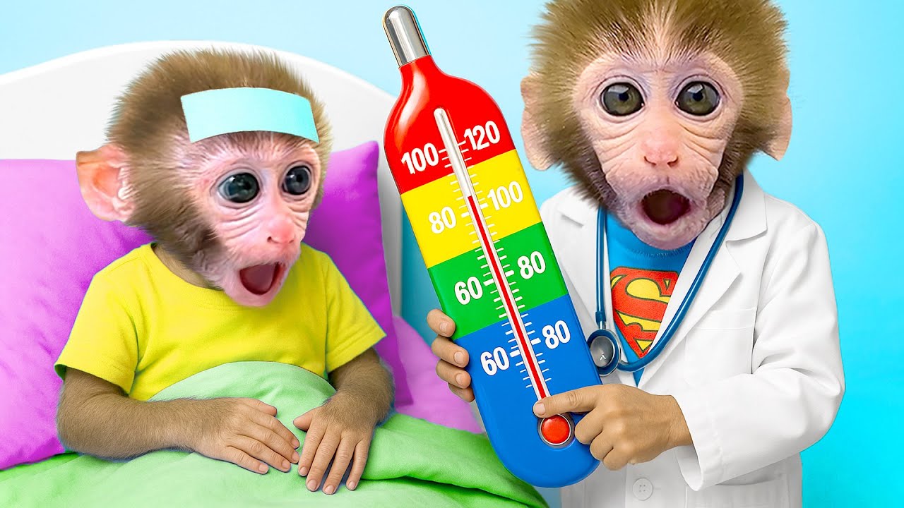 Mono Bon Bon cosecha maíz arcoíris con su hermanito mono y gallinas