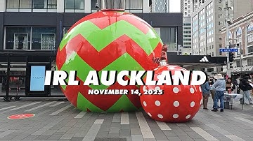 Does IRL Pro (Android) work with Loopy SRT (Disconnect Protection)