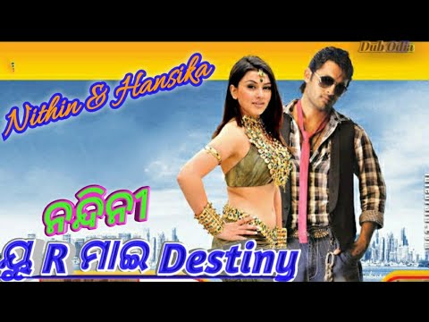 Nandini You are mu destiny Odia Dubbed Full Video Song  Nithin hansika motwani 