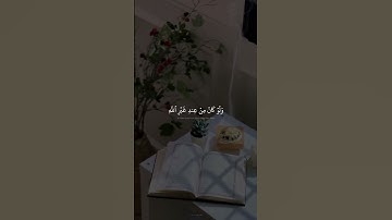 سورة النساء   #القران الكريم #المنشاوي