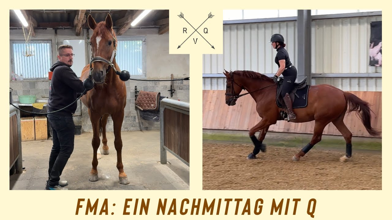 FMA: ein Nachmittag bei Q 🤍