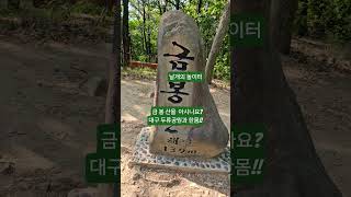 금봉산 영상