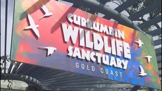 Visit To Currumbin Wildlife Sanctuary Australia #australia #goviral 