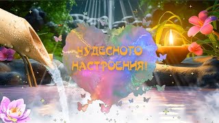 Футаж😍 Счастье Как Бабочка 🦋 Чудесного Настроения❣️ Have a wonderful mood