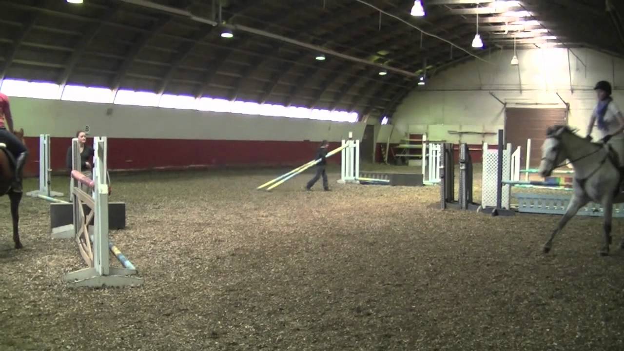 Stuff Show Jumpers Say!