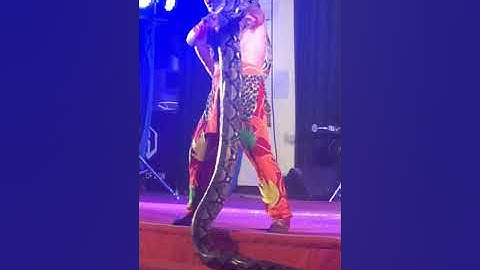 Trăn khổng lồ trong rạp xiếc