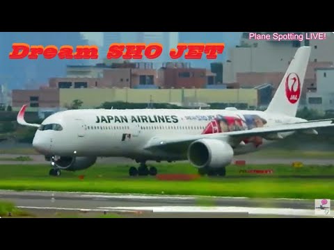 生中継!伊丹空港!! Plane Spotting Osaka Itami Airport 08/28/2025