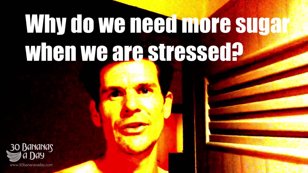 Why Do We Crave Sugar When Stressed YouTube