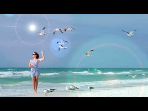 თოლიები მიფრინავენ შორი შორს Toliebi Mifrinaven Shori Shors Gizo Silagava ქართულისიმღერები