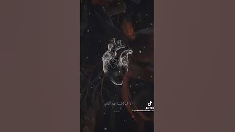 القرآن الكريم راحه نفسيه للقارئ عبد الرحمن مسعد ❤️🎧 #قرآن #quran #عبدالرحمن_مسعد