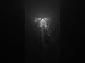 Searchlight