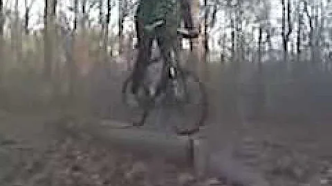 Arundel MTB - Ryan Melhorn Log Obstacle