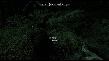 The Elder Scrolls 5 - Skyrim (graphic mods 01)