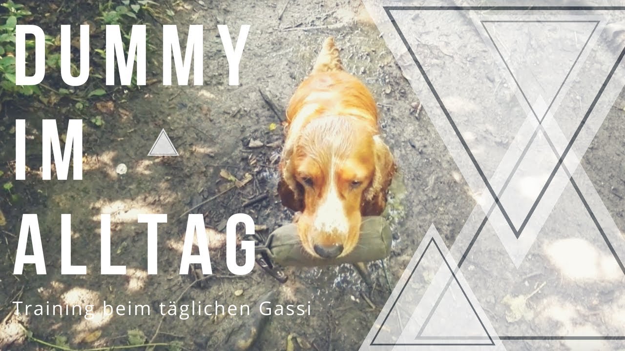 Der (Futter-) Dummy im Alltag: 6 Ideen für den täglichen Spaziergang