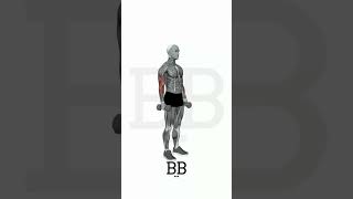 Standing Dumbbell Hammer Curl (BICEPS & FOREARMS): Build Stronger Arms & Grip! 💪