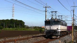 2010.10.11 4094レ EF65-1101牽引、高速貨物。