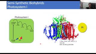 Inorganic Biohybrids: Advancing Artificial Photosynthesis Webinar