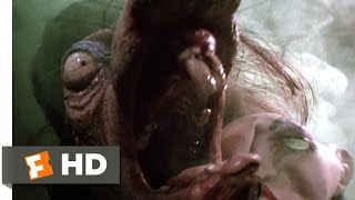 The Witches (10/10) Movie CLIP - Pest Control (1990) HD