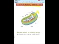 Mitochondrial inheritance #biology #csirnet #genetics #gate #neet #easylearning #icmr #neetprep